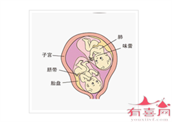 去北京供卵试管麻烦吗，北京有私人找助孕