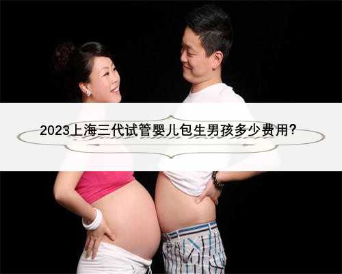 2023上海三代试管婴儿包生男孩多少费用？